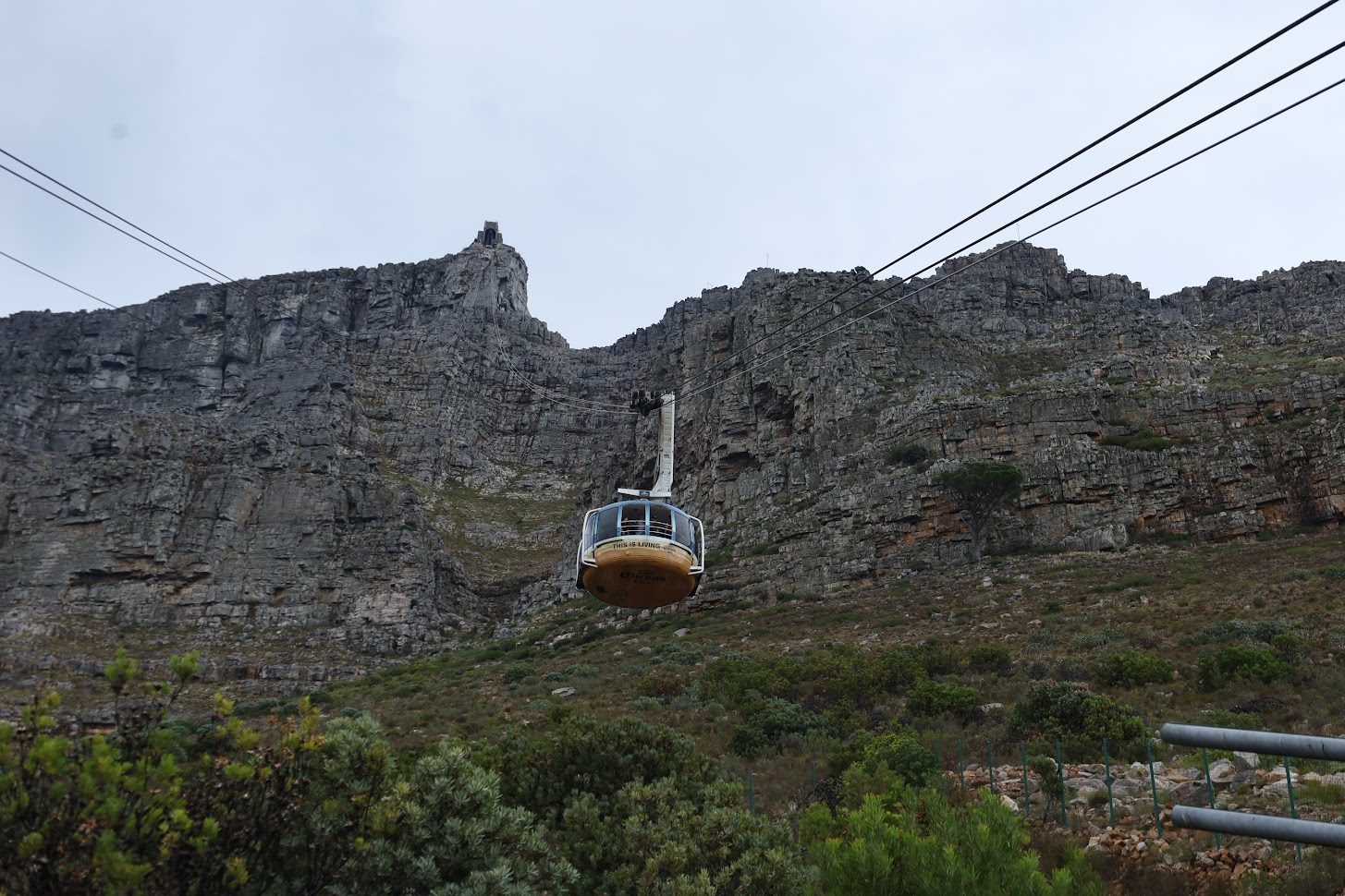 The Table Mountain Aerial Cableway climbing the cliff face
